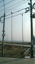 2006년 새우개 동편 장승 앞의 솟대 썸네일 이미지