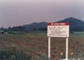 1985년 능곡리 콩 다수확 시범포 안내판 썸네일 이미지