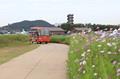 시흥갯골생태공원 전기차 썸네일 이미지